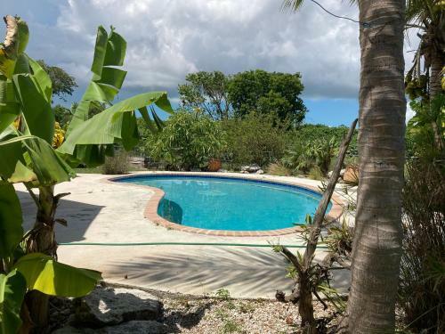 Bed & Breakfast Cosy Lakeview Cottage #1