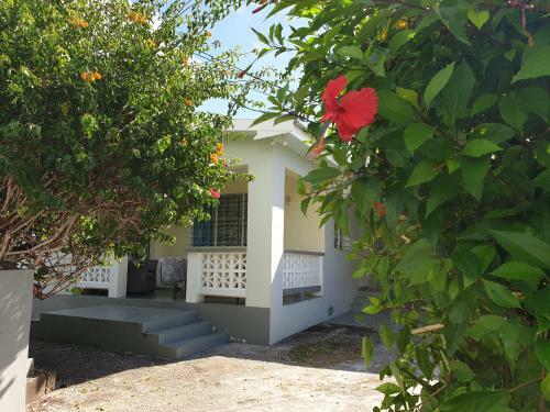 Cotton Bay House