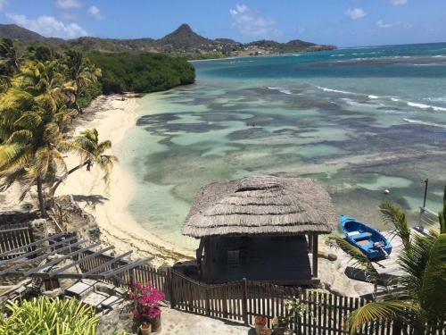 Apartamento Exclusive Beachfront Eco Studio