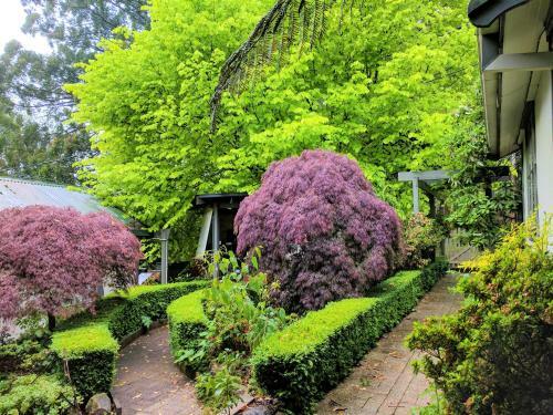 Annie Roes Luxury B&B
