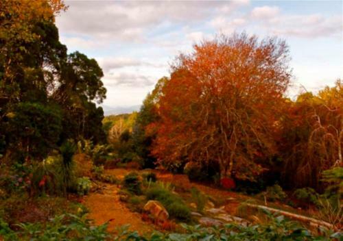 Bed & Breakfast Woolrich Historic Garden Accommodation
