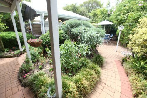 Hostal Jacaranda Guest House