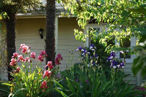 Eagle's View Bed & Breakfast