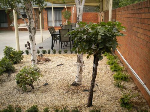 Moama Central Motel