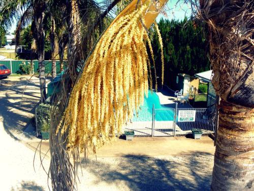 Lone Pine Motel
