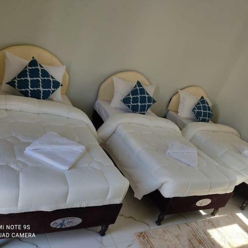 Hostal Jabal Shams Summit Guesthouse