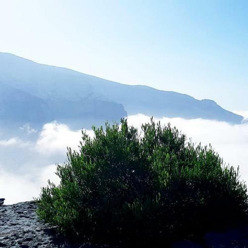 Hostal Jabal Shams Summit Guesthouse