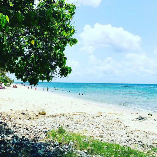 Ti Coin Paradis