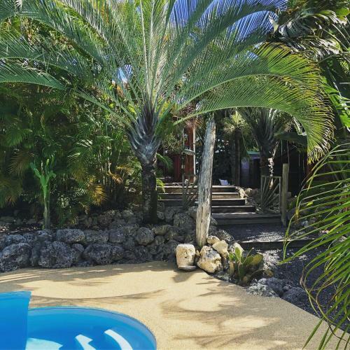 Coin Paradis