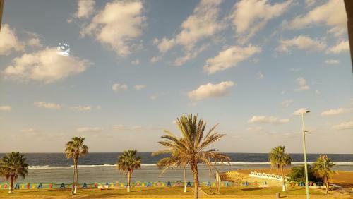 Al Wajh Beach Hotel ???? ???? ?????