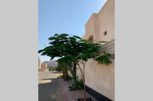 Luxury Fully Furnished Villa ???? ?????