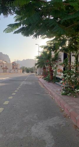 Luxury Fully Furnished Villa ???? ?????