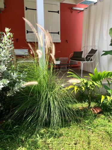 Colibri Garden
