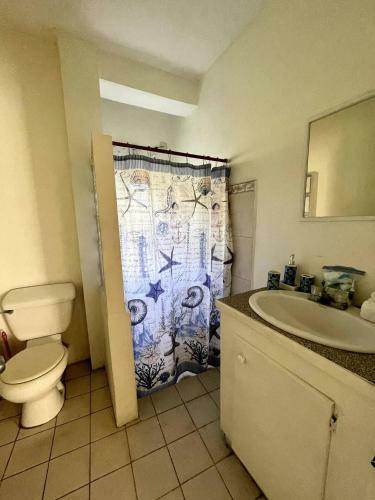 Izzy's Apartments