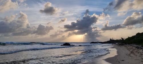 Apartamento Superbe Studio Laya En Bord De Mer