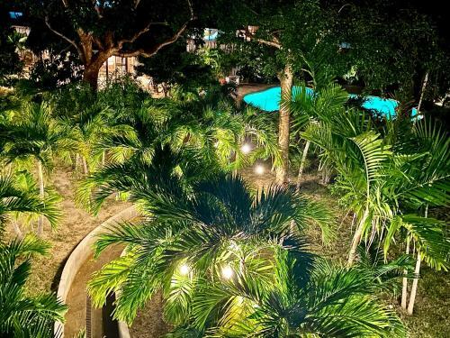Hostal Dreamspace Cottage