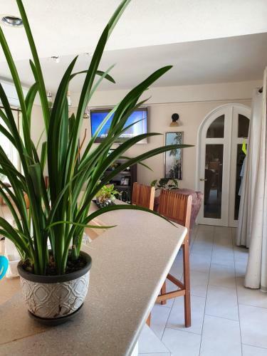 Villa Sweet Home Grenada Caribbean