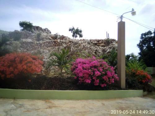 Hostal Eve's Rockaway Villa