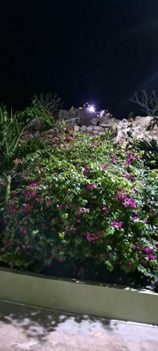 Hostal Eve's Rockaway Villa