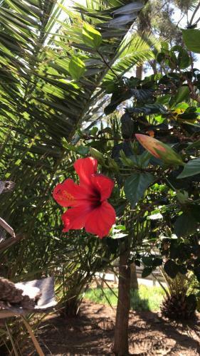 Bed & Breakfast Habitaci�n Da Lore