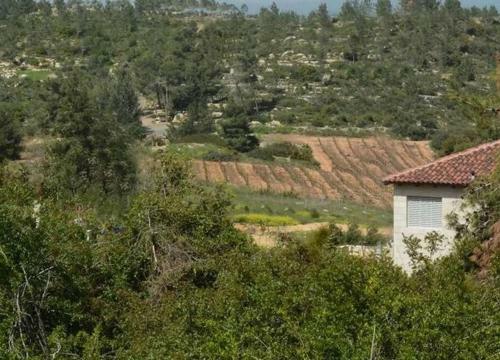 Bed & Breakfast Nofei Neve Ilan