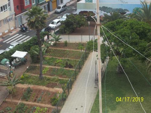 Apartamento Sansof� Vivienda Estudio
