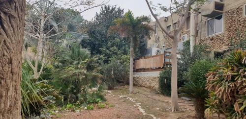Hostal Naama Rooms For Rent
