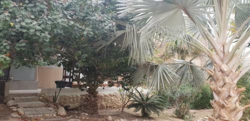 Hostal Naama Rooms For Rent