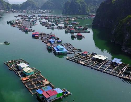Cat Ba Thailand Hotel