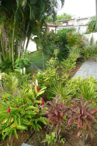 Douceurs Cara�bes, G�te Alpinia.
