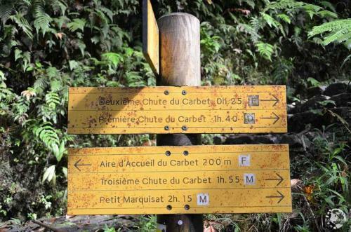 Le Nid Douillet De P�tro