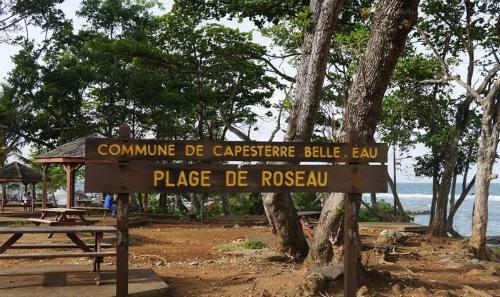Le Nid Douillet De P�tro