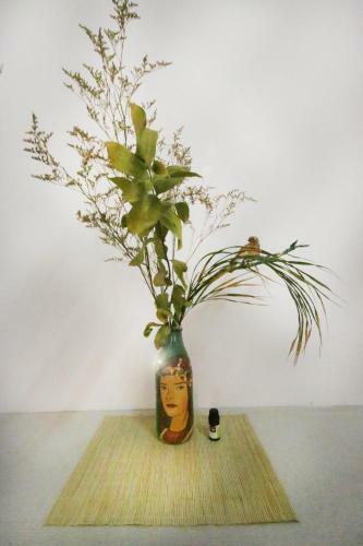 Hostal Mahalo Healthy House