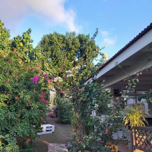 Hostal Le Biabiany