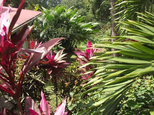 Les Jardins De L'esp�rance