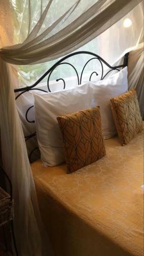 Lodge R�ve Et Aliz�