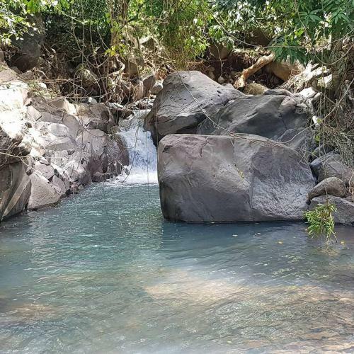 Lodge R�ve Et Aliz�