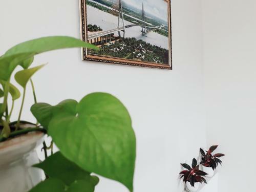 Bed & Breakfast Nh� Ngh? 126