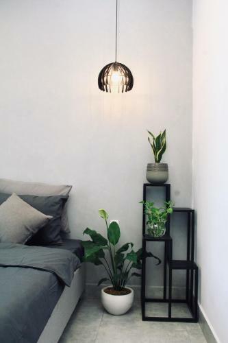 Midmost Boutique Hostel