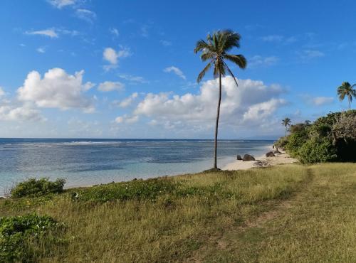 Bunga-lodge (bungalow 4* Avec Piscine Priv�e)
