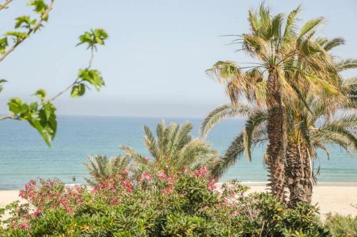 Apartamento Beach Lovers' Paradise, Surfing, 25 Min From Tlv