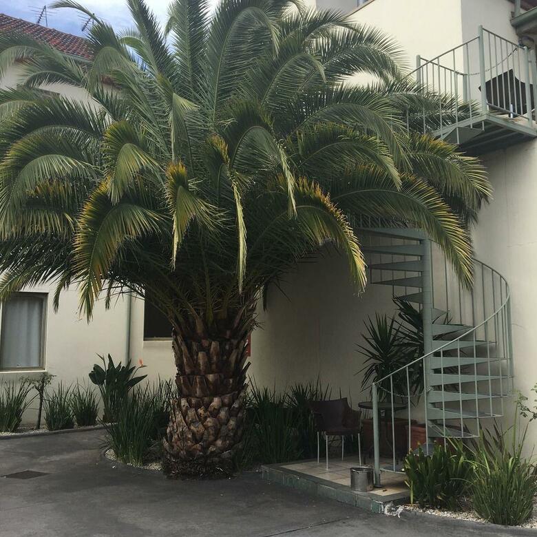 Hotel Dolma
