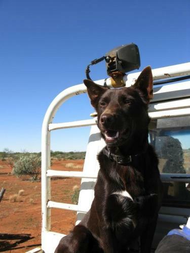 Agroturismo Wooleen Station