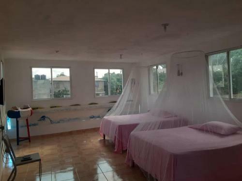 Albergue Auberge Sportive Kenson Haiti
