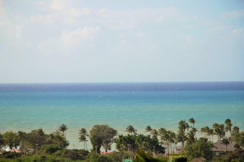 Caraibes Cottages Le Jasmin