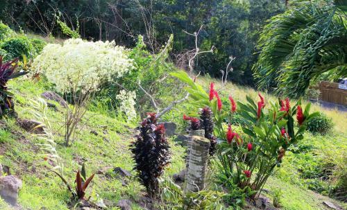 Caraibes Cottages Le Jasmin