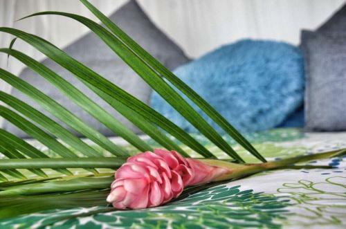 Lodge Du C�t� De Chez Swann