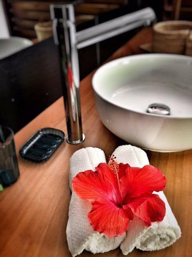 Lodge Du C�t� De Chez Swann