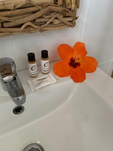 Apartamento Le C?ur De La Mer