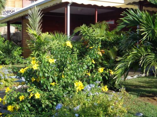 Gites Couleurs Cr�oles